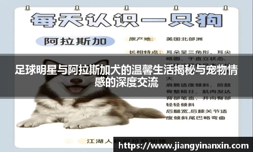 bwin必赢在线登录入口